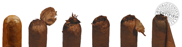 Cigar Rolling
