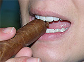 Cigar Cutter: Teeth