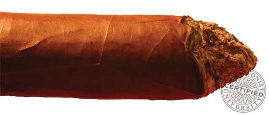 Cigar Shapes: Smoking Too Hot